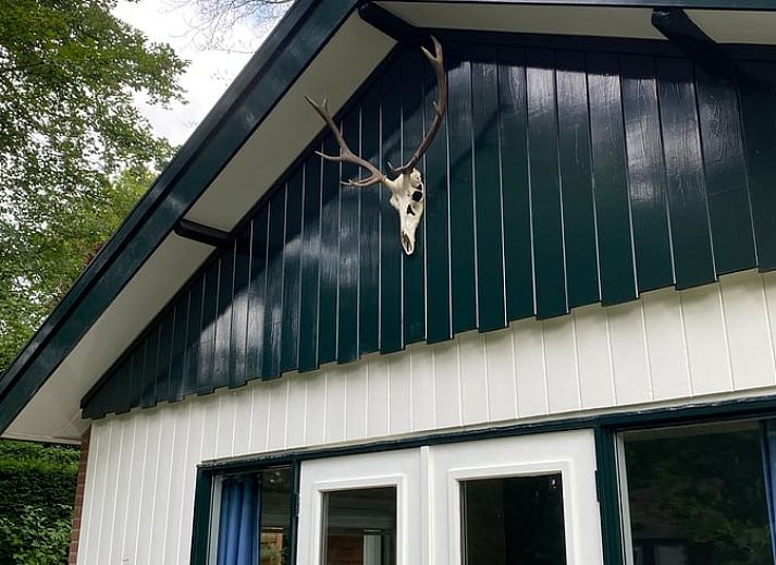 Gezellig vakantiehuisje in Lunteren, Veluwe, omgeven door groen en rust.