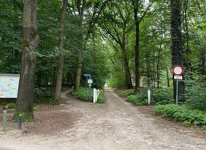 Buitenkant van vakantiehuisje in Lunteren met hertenschedel, Veluwe.