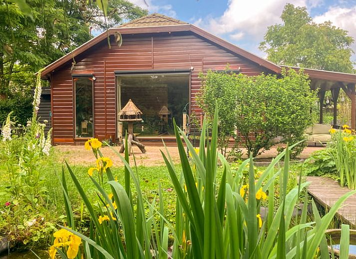 Cottage in Lunteren in the Veluwe, cottage with garden view in Gelderland.