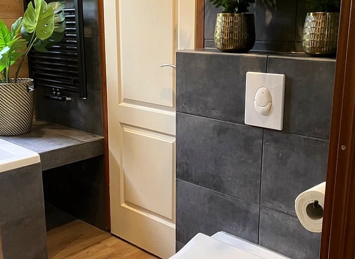Cozy living room in Cottage in Lunteren, Veluwe, with wooden walls and comfortable sofas.
