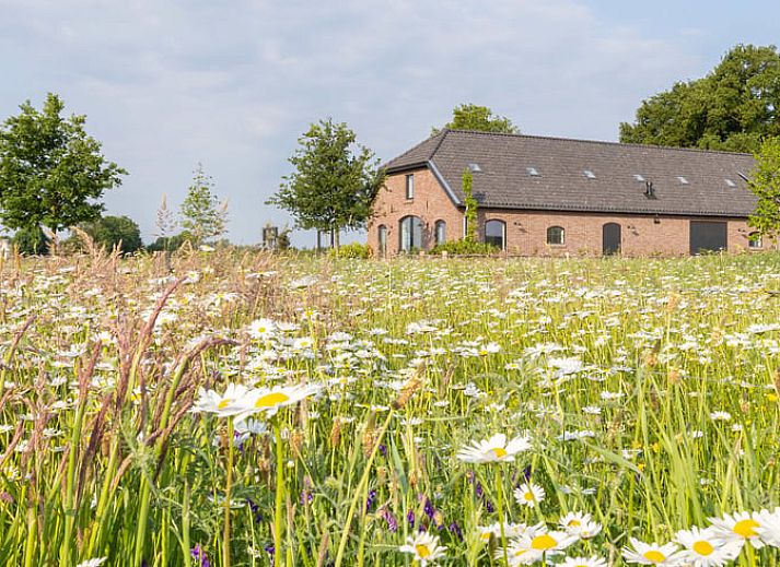 Unterkunft 323162 • Ferienhaus Veluwe • Vakantiehuisje in Lunteren