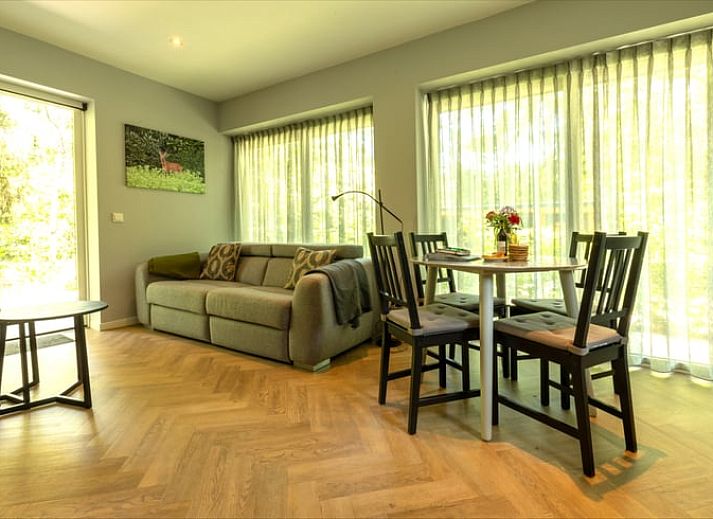 Gezellige woonkamer van Vakantiehuis in Lunteren, Veluwe, Gelderland met moderne inrichting.