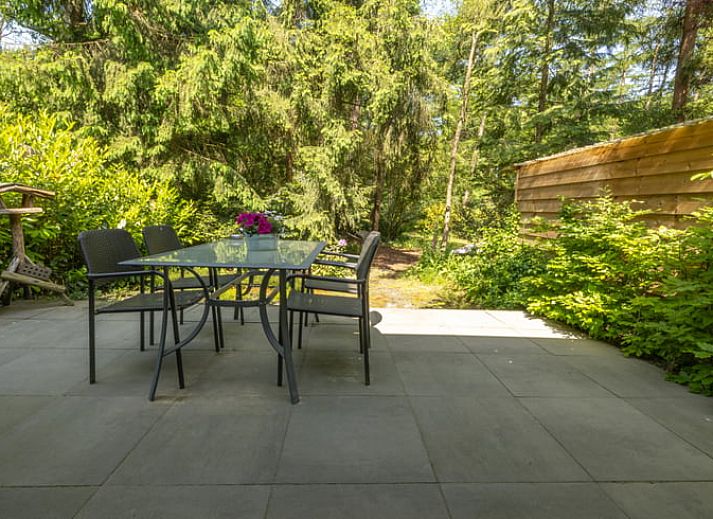 Comfortabele zithoek in Vakantiehuis in Lunteren, Veluwe, Gelderland met veel daglicht.