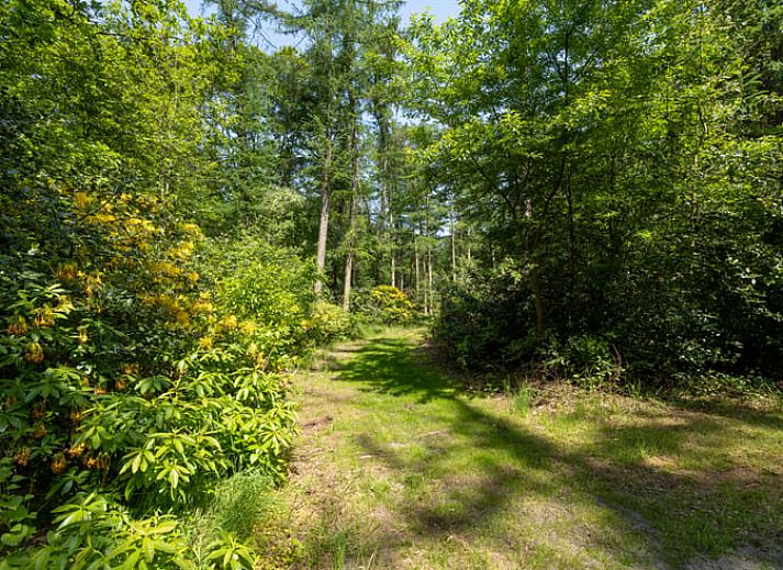 Moderne woonkamer in Vakantiehuis in Lunteren, Veluwe, Gelderland met tv en comfortabele bank.