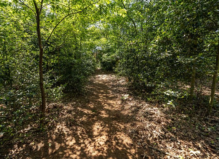 Moderne woonkamer in Vakantiehuis in Lunteren, Veluwe, Gelderland met tv en comfortabele bank.