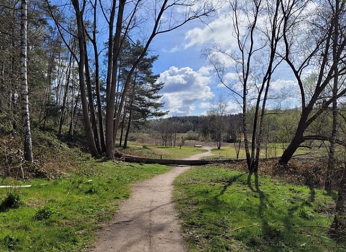 Lichte leefruimte in Vakantiehuis in Lunteren, Veluwe, Gelderland met eet- en zithoek.