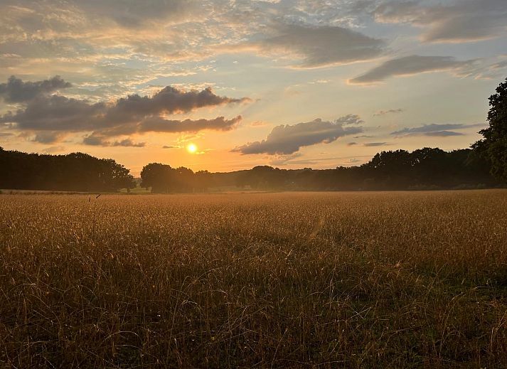 Unterkunft 323176 - Ferienhaus Veluwe - DG2032