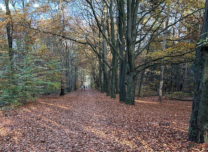 Unterkunft 323176 - Ferienhaus Veluwe - DG2032