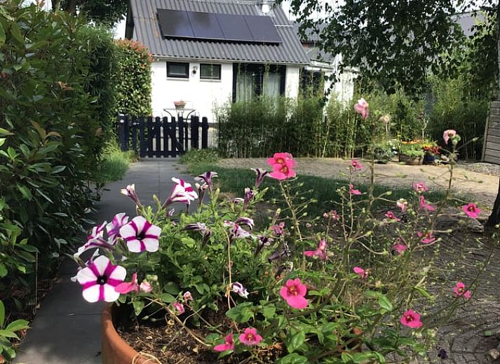 Guest house 323204 • Holiday property Veluwe • Vakantiehuis in Oldebroek