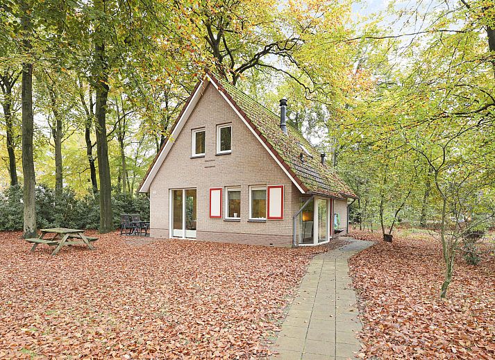 Unterkunft 323214 - Bungalow Veluwe - Landgoed 't Loo | 6-persoons kinderbungalow | 6CK