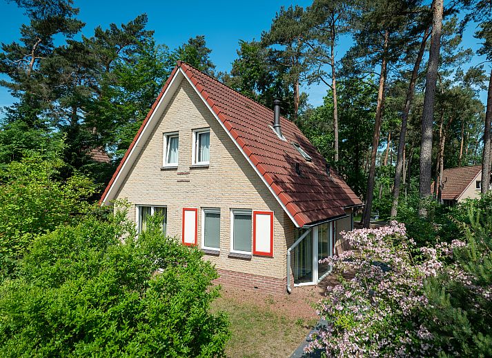 Landgoed 't Loo 6-Personen-Bungalow 6C2 in Oldebroek, Veluwe, Gelderland, umgeben von gruener Natur.