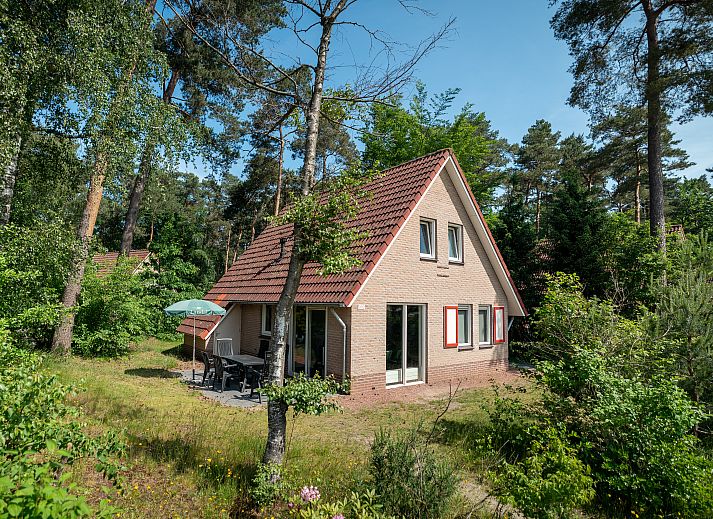 Landgoed 't Loo 6-Personen-Bungalow 6C2 in Oldebroek, Veluwe, Gelderland, umgeben von gruener Natur.