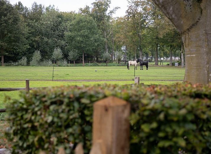 Charmantes Ferienhaus Cottage in Oldebroek mit authentischer Fassade in Veluwe, Gelderland.