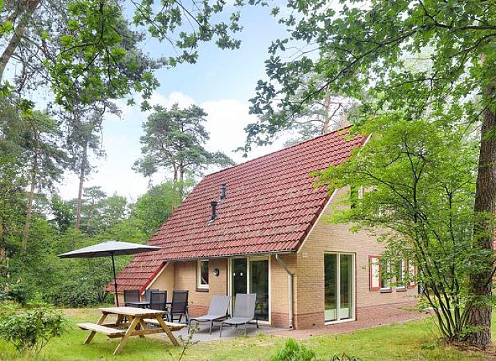 Guest house 323242 • Bungalow Veluwe • Landgoed 't Loo | 4-persoons kinderbungalow | 4LK 