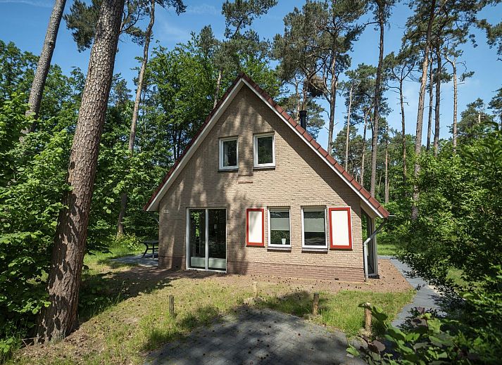 Guest house 323245 • Bungalow Veluwe • Landgoed 't Loo | 6-persoons bungalow | 6C3 