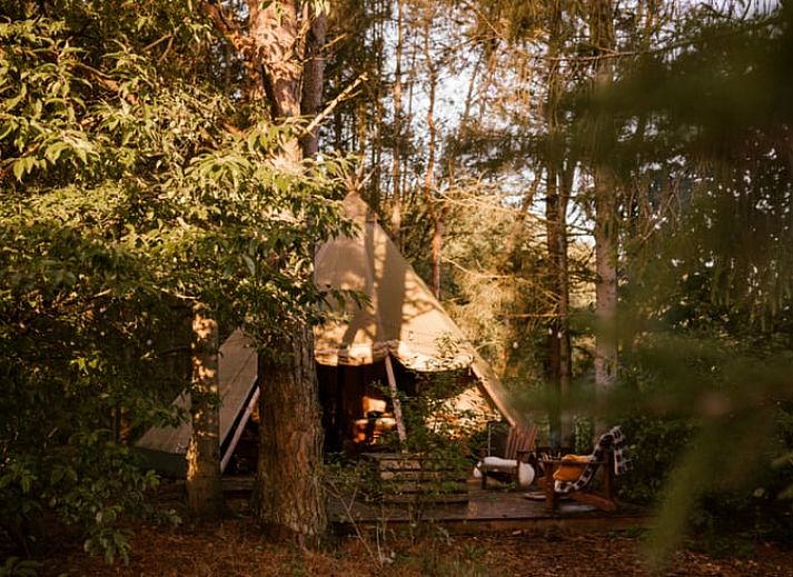 Verblijf 323309 • Vakantiewoning Veluwe • Vakantiehuis in Uddel