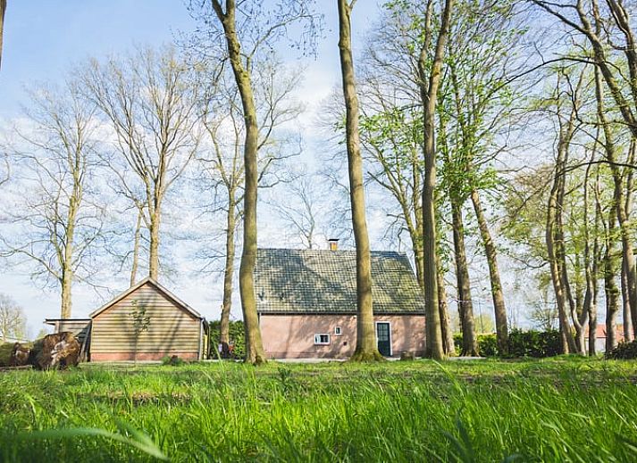 Huisje in Uddel, vakantiehuis in Veluwe, omringd door hoge bomen en een groene tuin, Gelderland.