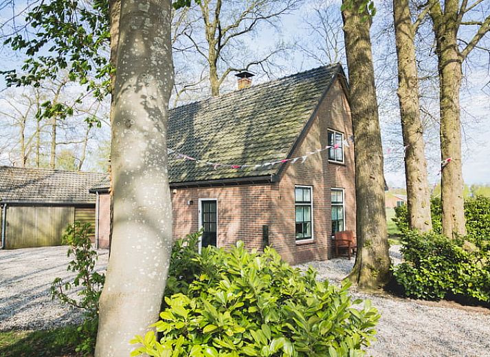 Huisje in Uddel, vakantiehuis in Veluwe, omringd door hoge bomen en een groene tuin, Gelderland.