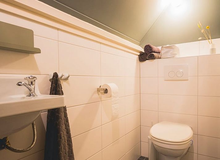 Rustieke achterkant van Huisje in Uddel, vakantiehuis in Veluwe, gelegen in een bosrijke omgeving, Gelderland.