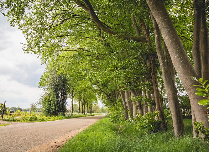 Slaapkamer met tweepersoonsbed in Huisje in Uddel, vakantiehuis in Veluwe, met warme kleuren en veel licht, Gelderland.