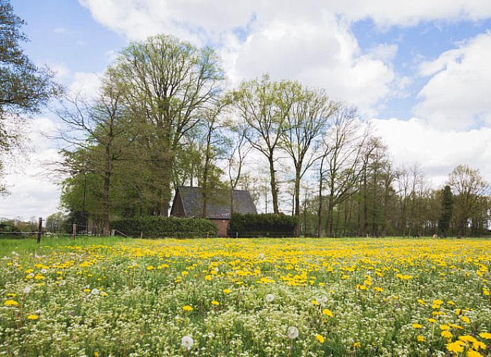 Authentieke slaapkamer met houten kast in Huisje in Uddel, vakantiehuis in Veluwe, Gelderland.
