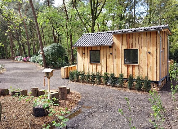 Gezellig vakantiehuisje in Uddel, Veluwe, omringd door groene natuur voor een ontspannen verblijf.