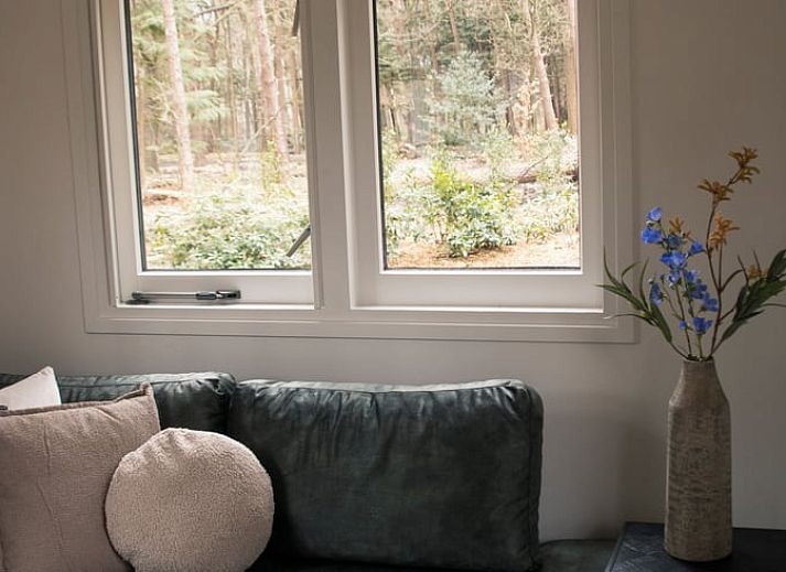 Vakantiehuisje in Uddel, Veluwe, biedt een serene ontsnapping te midden van weelderige bossen.