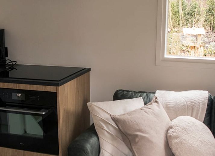 Vakantiehuisje in Uddel, Veluwe, biedt een serene ontsnapping te midden van weelderige bossen.