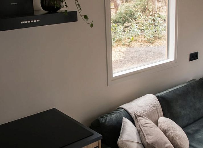 Vakantiehuisje in Uddel, Veluwe, biedt een serene ontsnapping te midden van weelderige bossen.