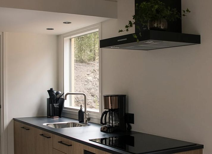 Vakantiehuisje in Uddel, Veluwe, biedt een serene ontsnapping te midden van weelderige bossen.