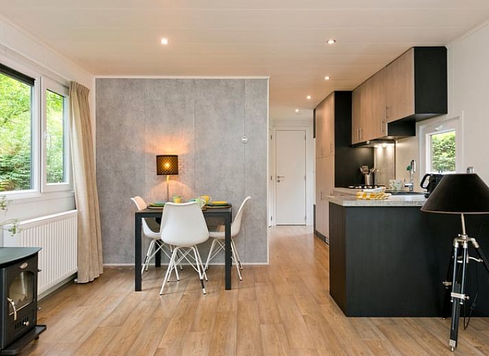 Vakantiewoning in Rheden met houten terras en tuin in Veluwe, Gelderland.