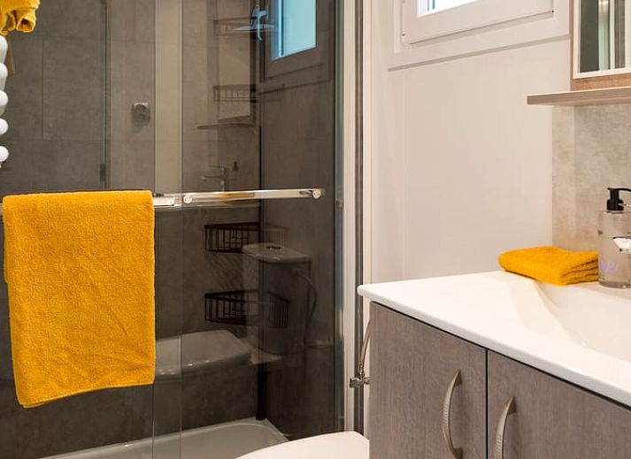 Ontspannende hangstoel in de tuin van Vakantiehuis in Rheden, Veluwe, Gelderland.