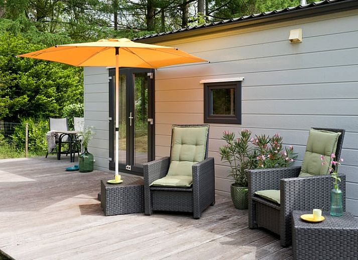 Stijlvolle woonkamer van Vakantiehuis in Rheden met kleurrijk interieur, Veluwe, Gelderland.