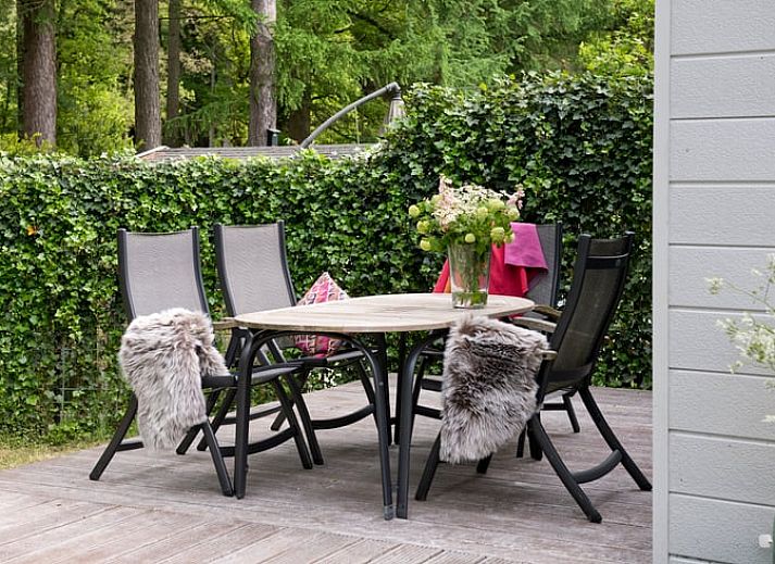 Stijlvolle woonkamer van Vakantiehuis in Rheden met kleurrijk interieur, Veluwe, Gelderland.