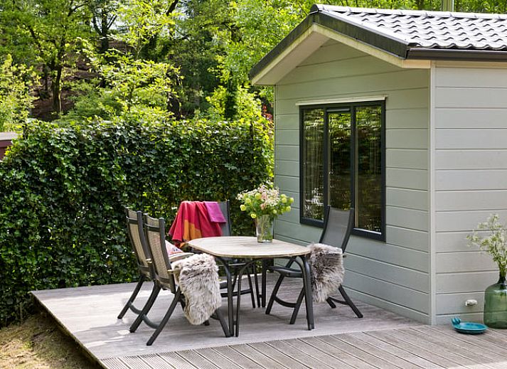Stijlvolle woonkamer van Vakantiehuis in Rheden met kleurrijk interieur, Veluwe, Gelderland.