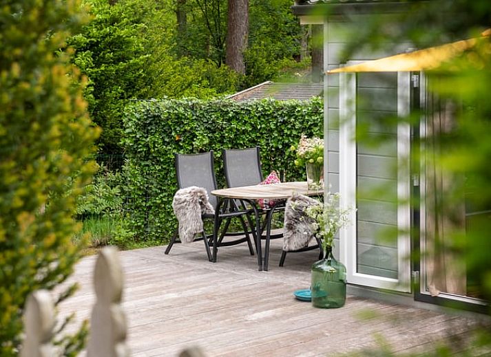 Gezellige binnenruimte van Vakantiehuis in Rheden met modern design, Veluwe, Gelderland.