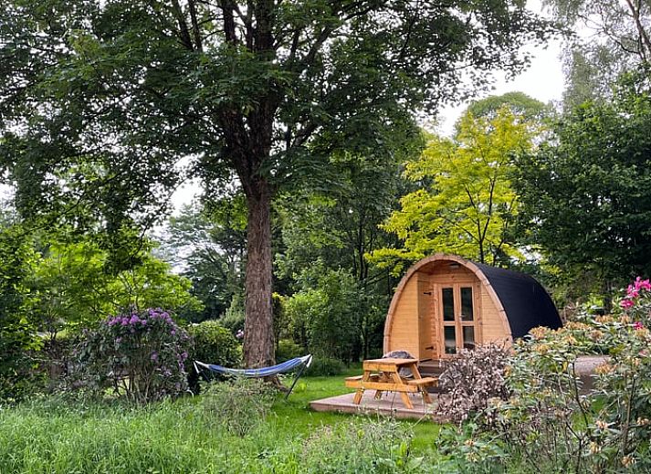 Unterkunft 323409 - Ferienhaus Veluwe - Vakantiehuisje in Rheden