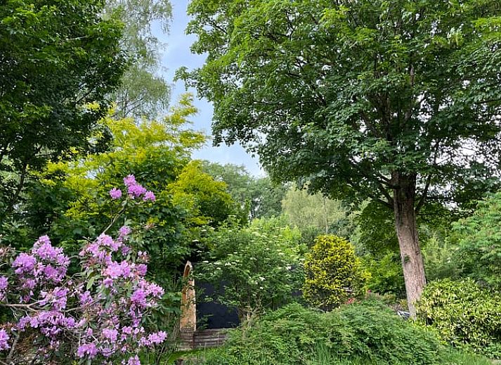 Unterkunft 323409 - Ferienhaus Veluwe - Vakantiehuisje in Rheden