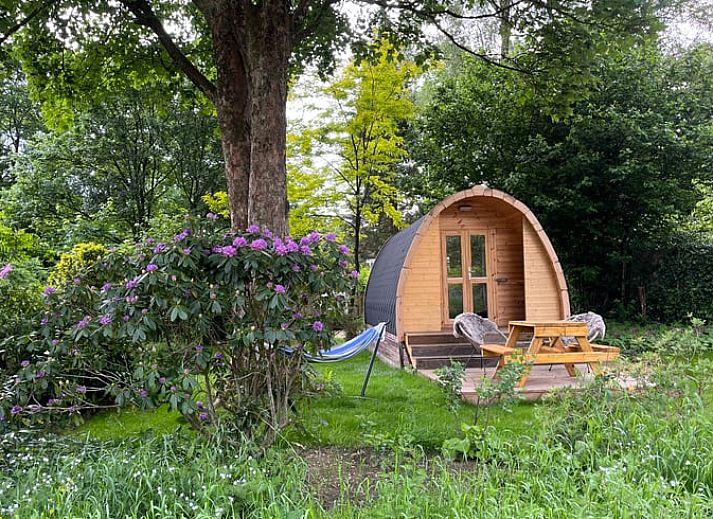 Unterkunft 323409 - Ferienhaus Veluwe - Vakantiehuisje in Rheden