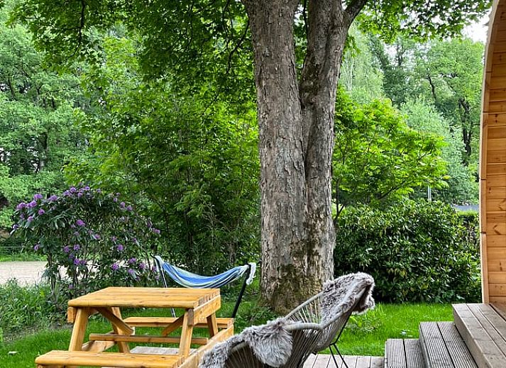 Unterkunft 323409 - Ferienhaus Veluwe - Vakantiehuisje in Rheden