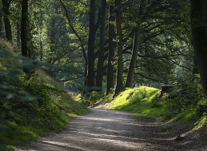 Unterkunft 323409 - Ferienhaus Veluwe - Vakantiehuisje in Rheden