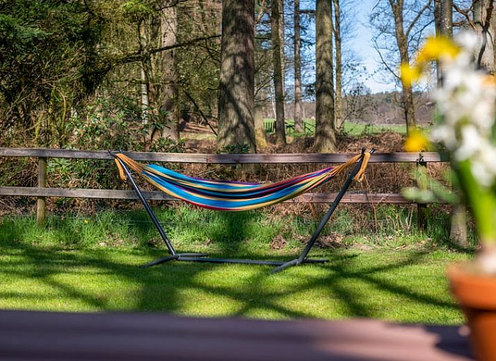 Unterkunft 323412 - Ferienhaus Veluwe - Vakantiehuis in Rheden
