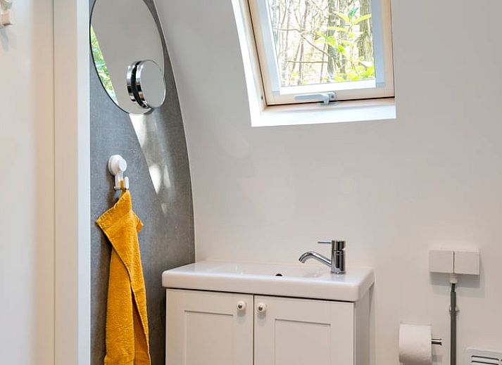 Unterkunft 323412 - Ferienhaus Veluwe - Vakantiehuis in Rheden