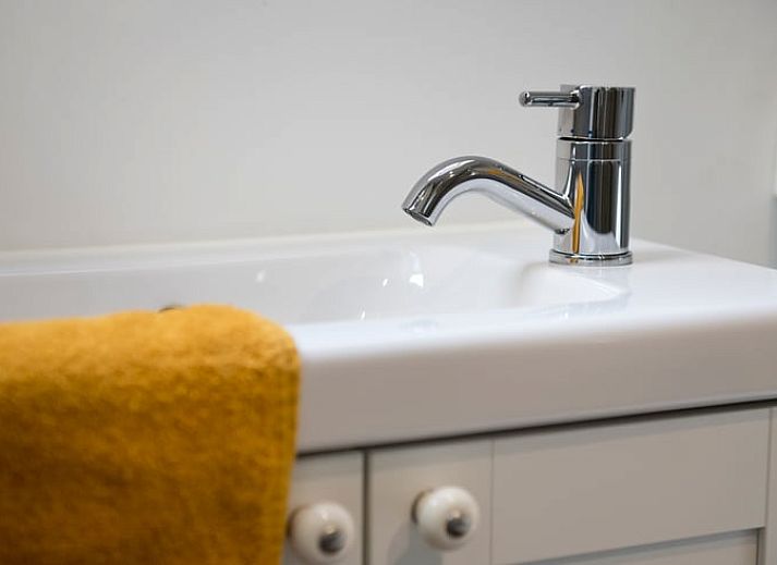 Unterkunft 323412 - Ferienhaus Veluwe - Vakantiehuis in Rheden