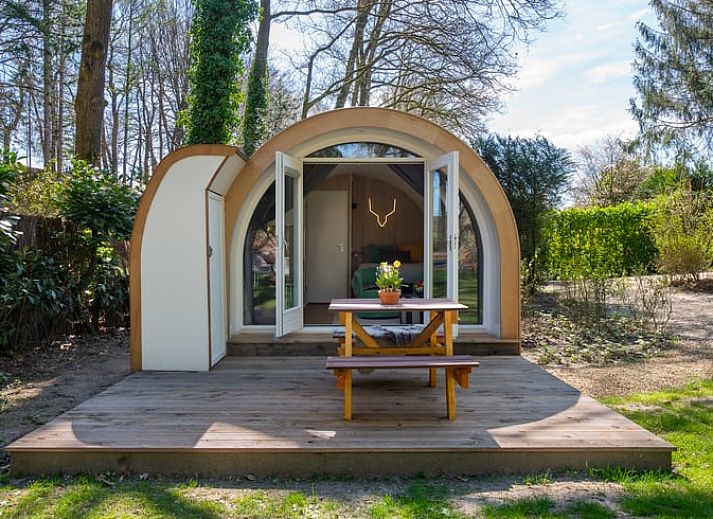 Unterkunft 323412 - Ferienhaus Veluwe - Vakantiehuis in Rheden