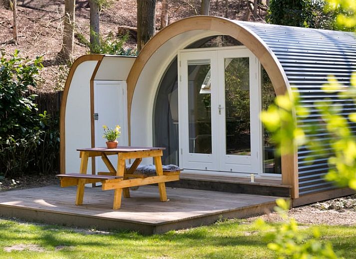 Unterkunft 323412 - Ferienhaus Veluwe - Vakantiehuis in Rheden