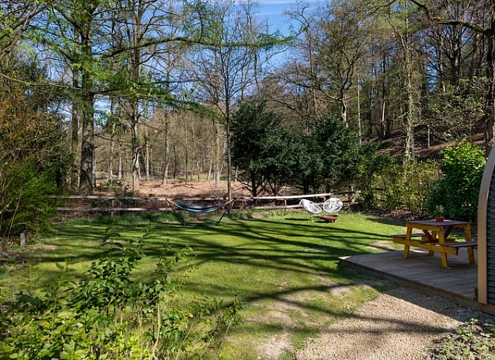 Unterkunft 323412 - Ferienhaus Veluwe - Vakantiehuis in Rheden