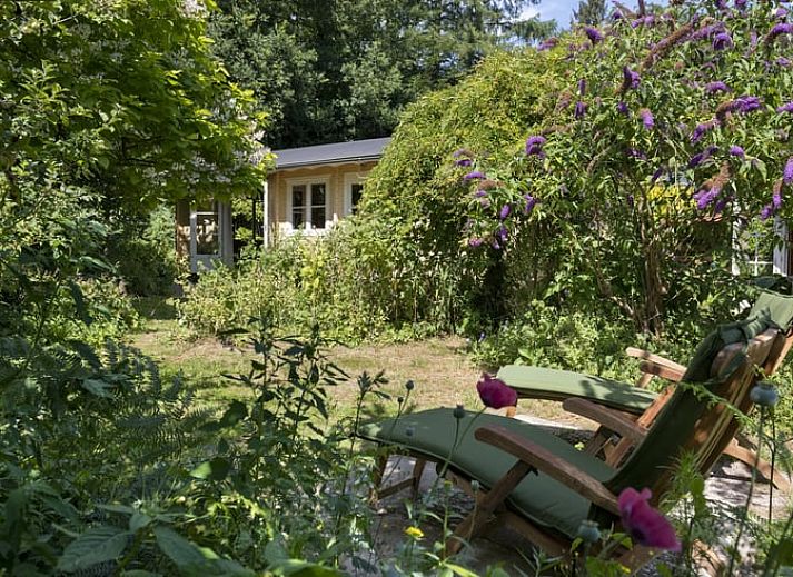Verblijf 323413 • Vakantiewoning Veluwe • Huisje in Rheden