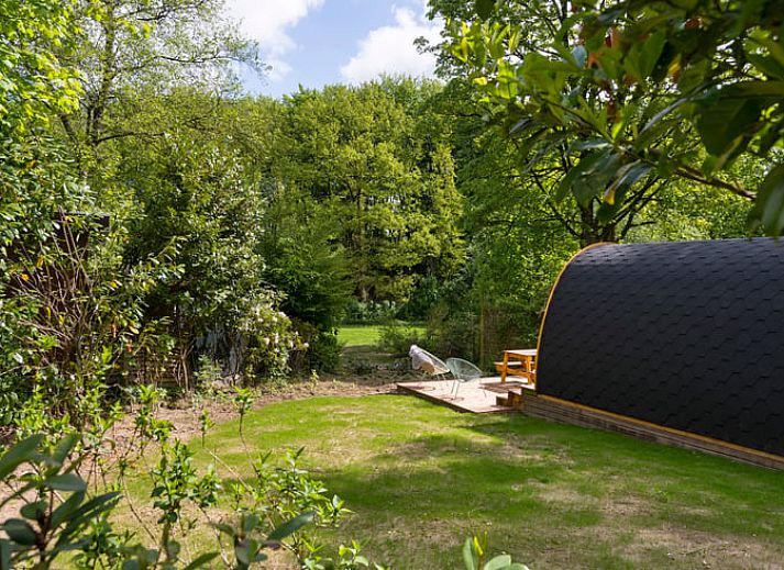 Gezellige binnenruimte van Huisje in Rheden, Veluwe, met keuken en zithoek.