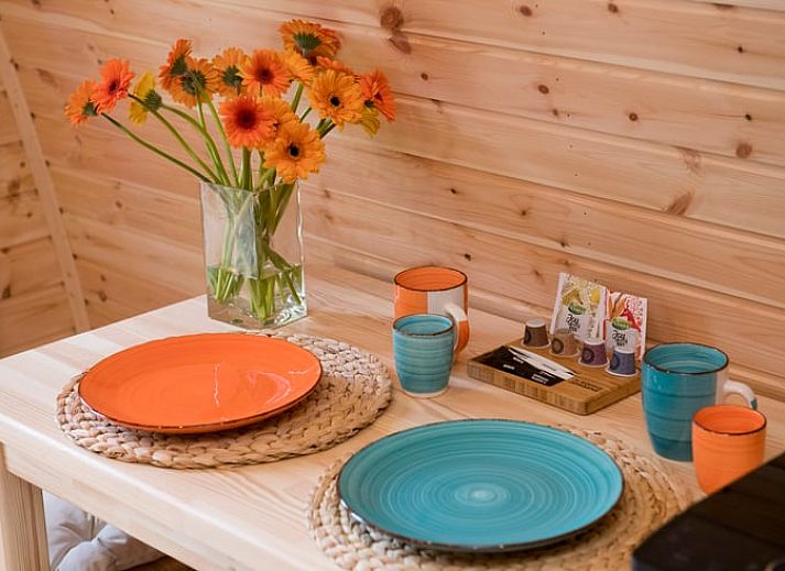 Veranda van Huisje in Rheden, vakantieaccommodatie omringd door natuur in Gelderland.